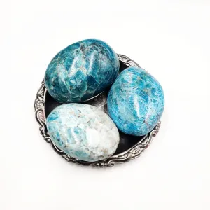 Blue Apatite Palm Stone Gallet