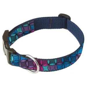Casimir - Dog Collar