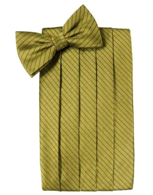Gold Palermo Cummerbund