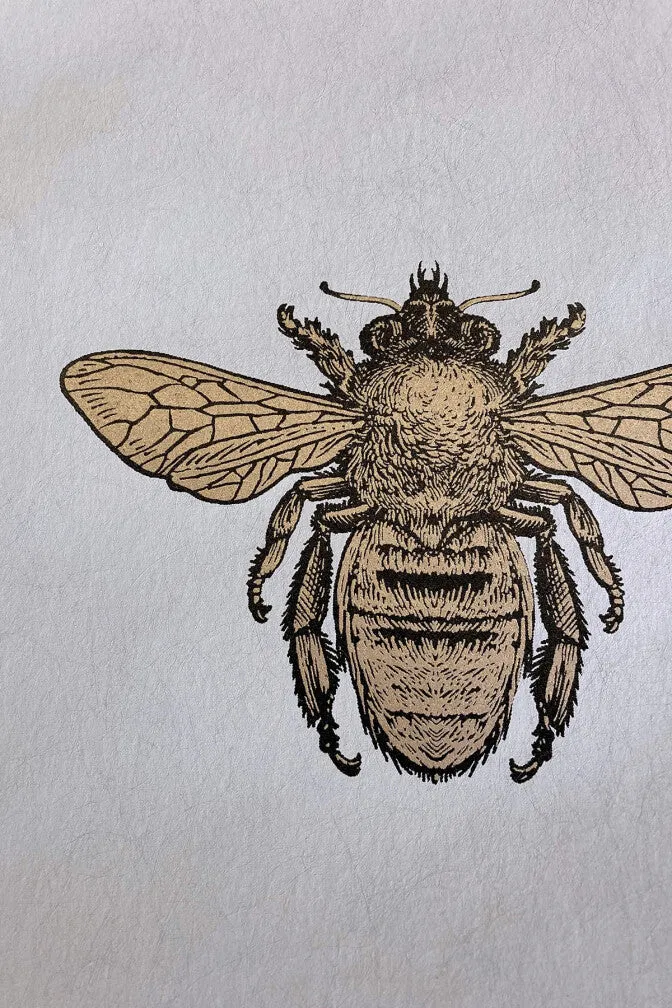 honey bee wallpaper