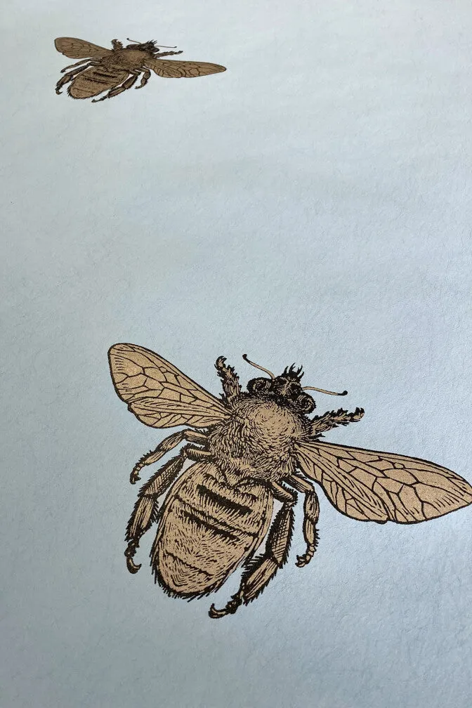 honey bee wallpaper
