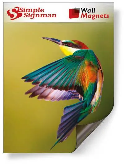 Magnetic Receptive Media PET - While Supplies Last! 80% OFF!