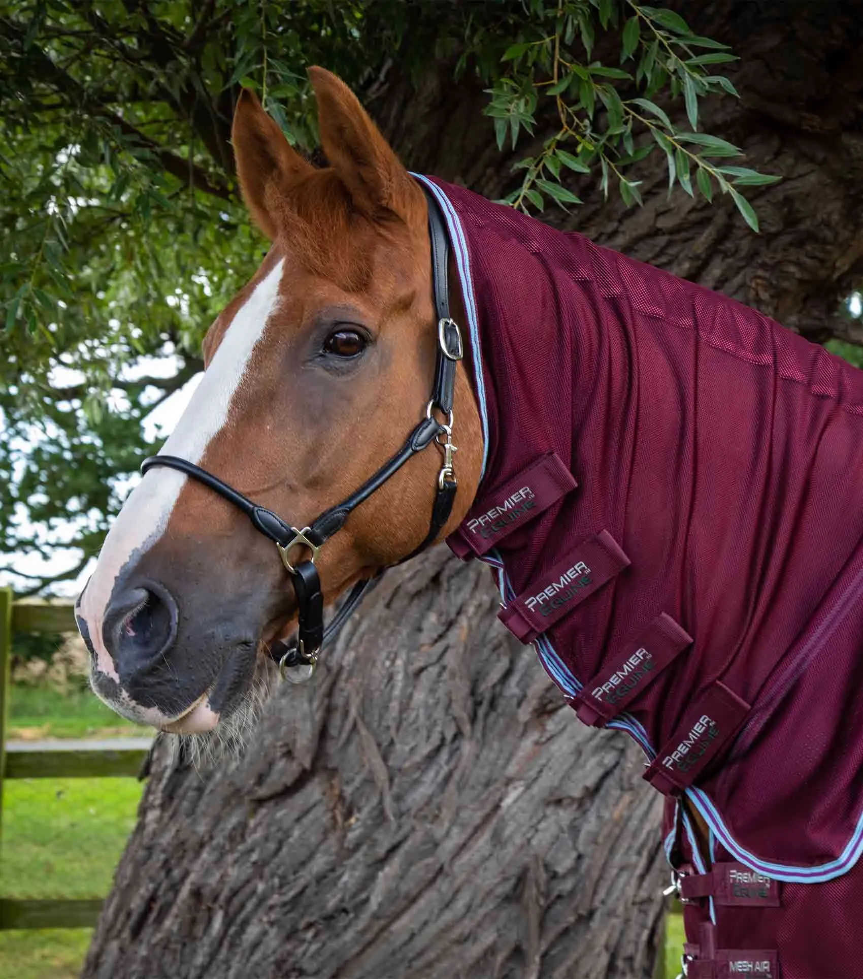 PEI Combo Mesh Air Fly Rug (Burgundy, 6'6'')