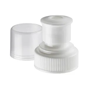 Push-Pull Cap - 07043 - Past Season
