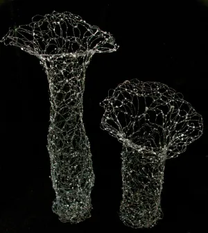 Spider Vessels