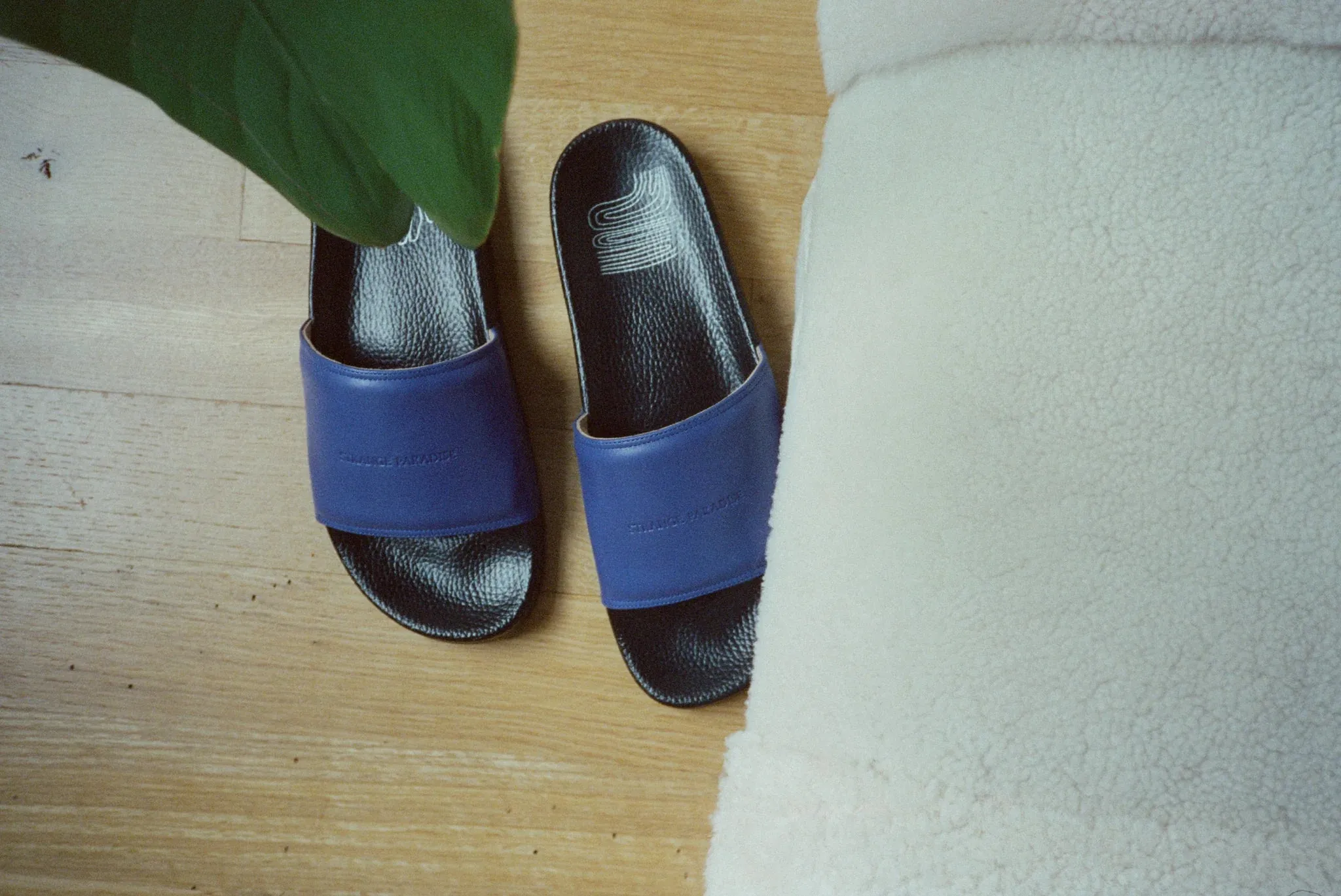 Strange Paradise Leather Sandal in Cape Blue