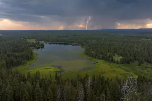 Summer Storm