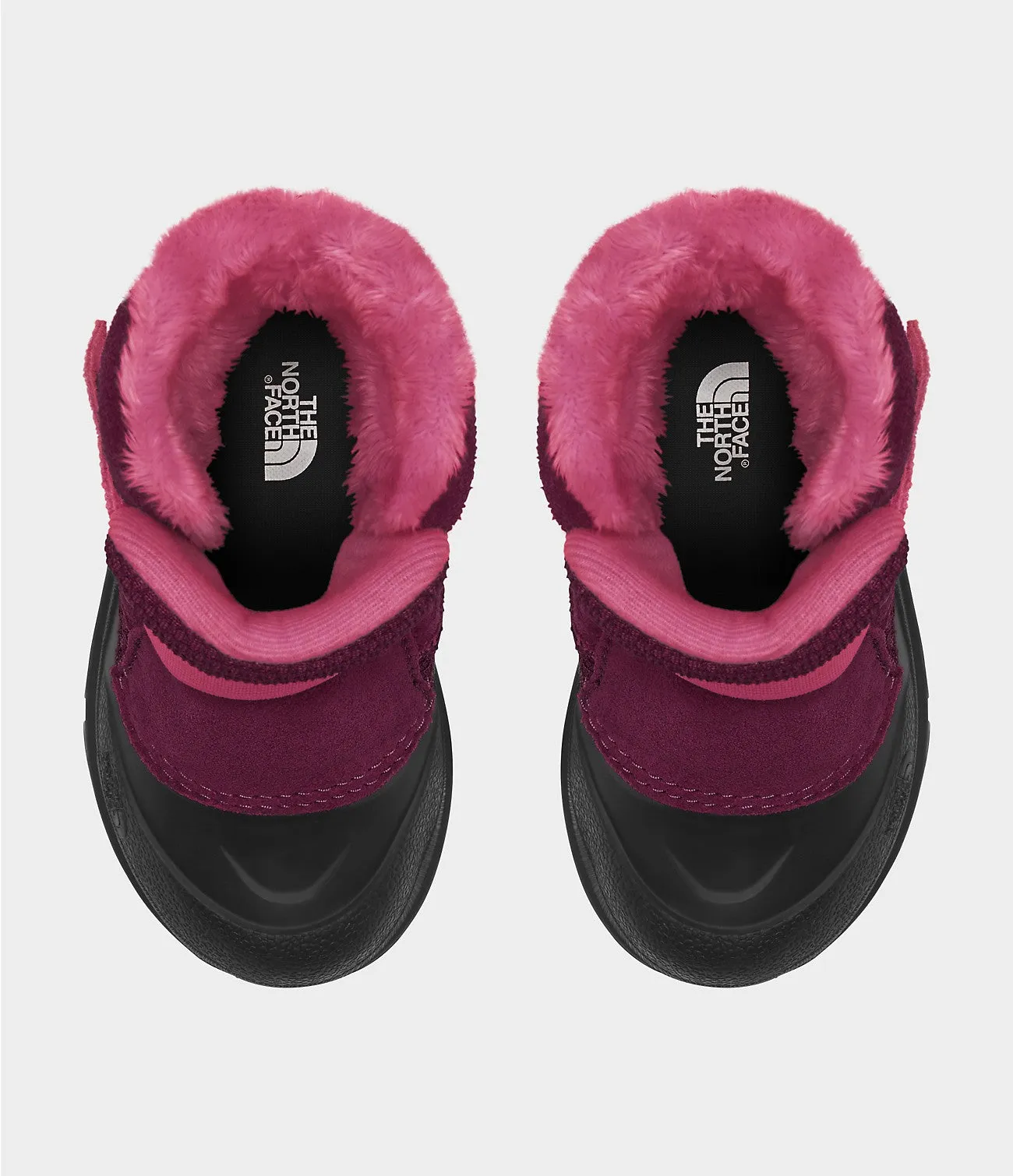 Toddler Alpenglow II - Boysenberry/TNF Black