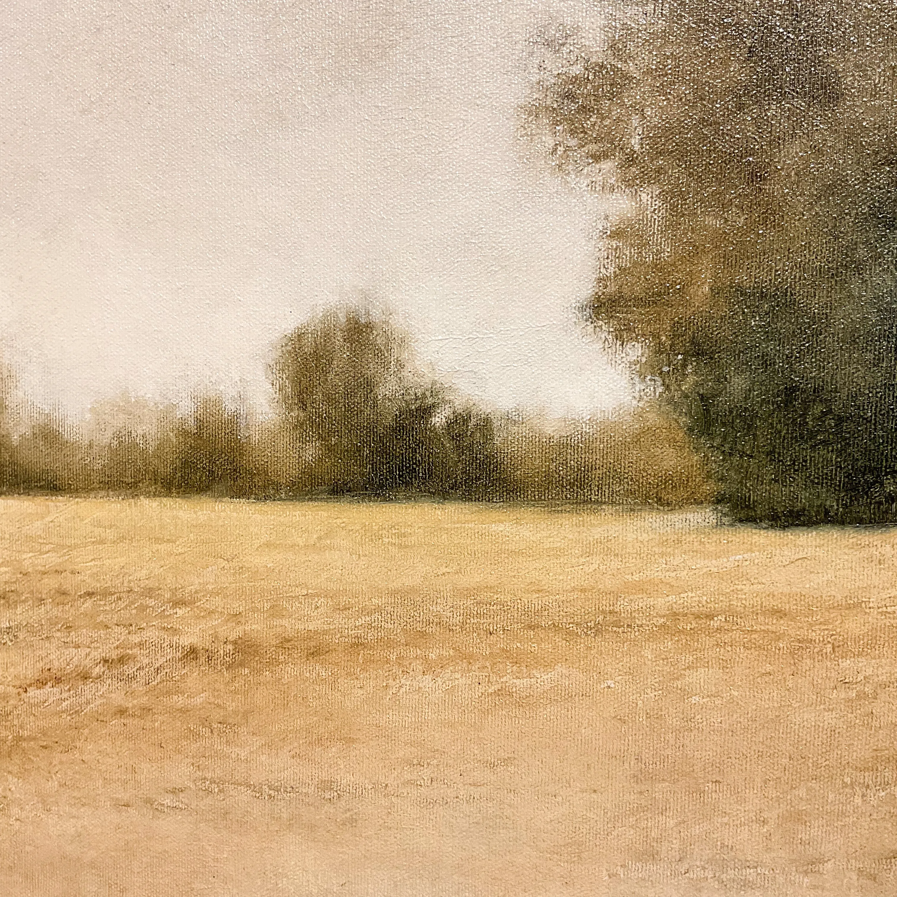 Warm Trees