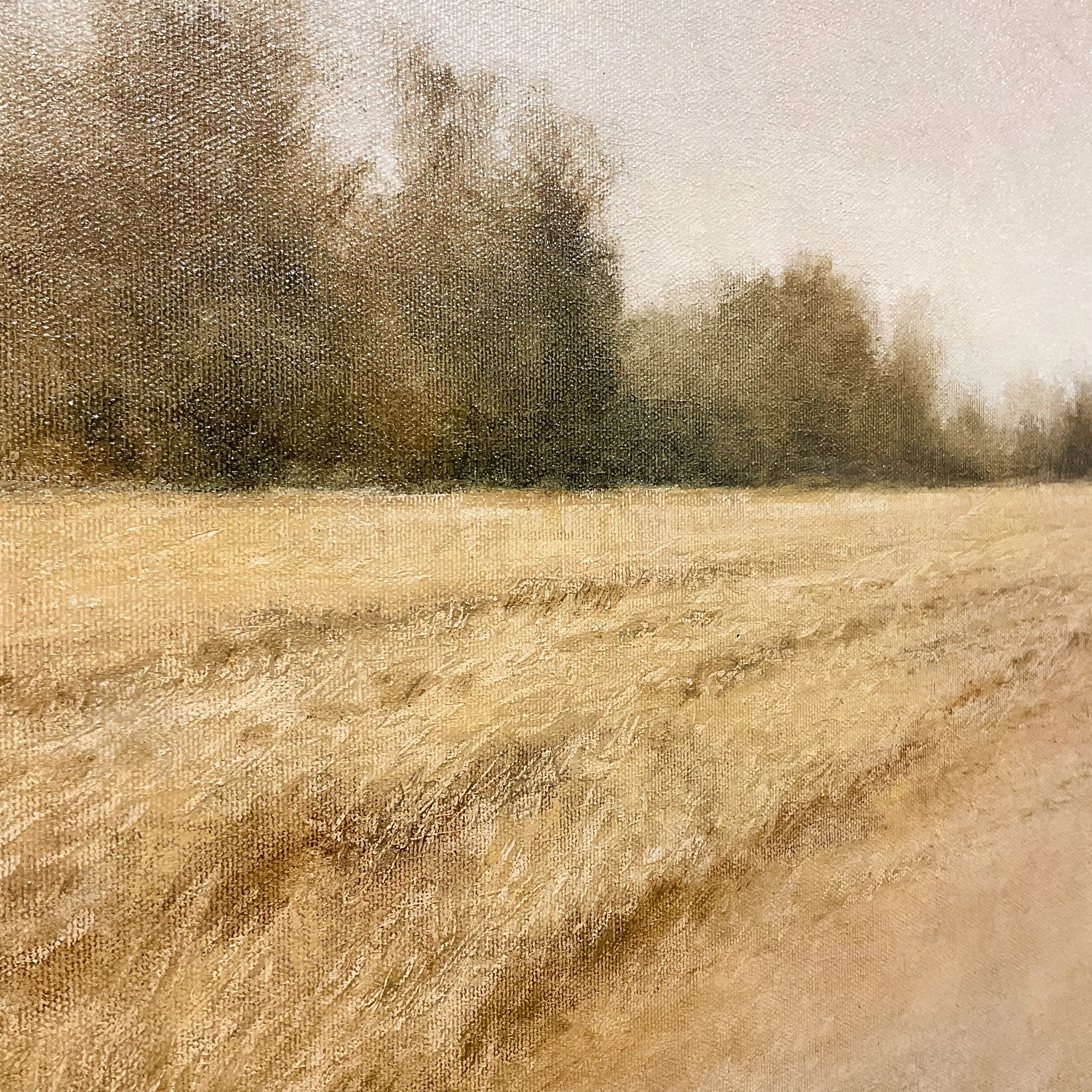 Warm Trees